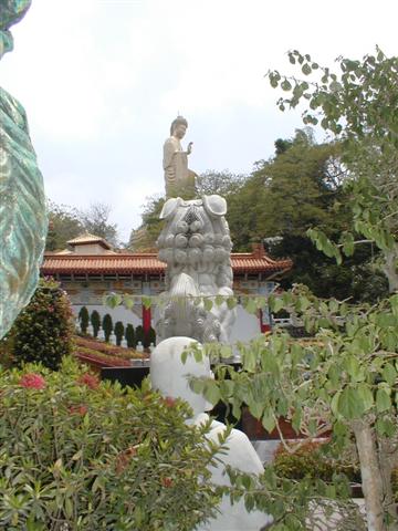 Buddha Statues